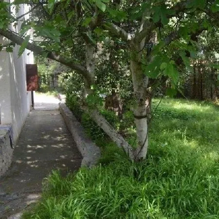 Apartments Maja Weißenburg Exterior foto