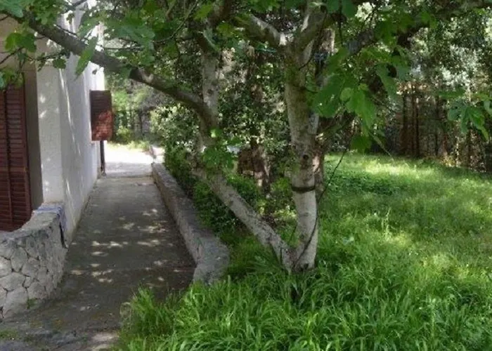 Apartments Maja