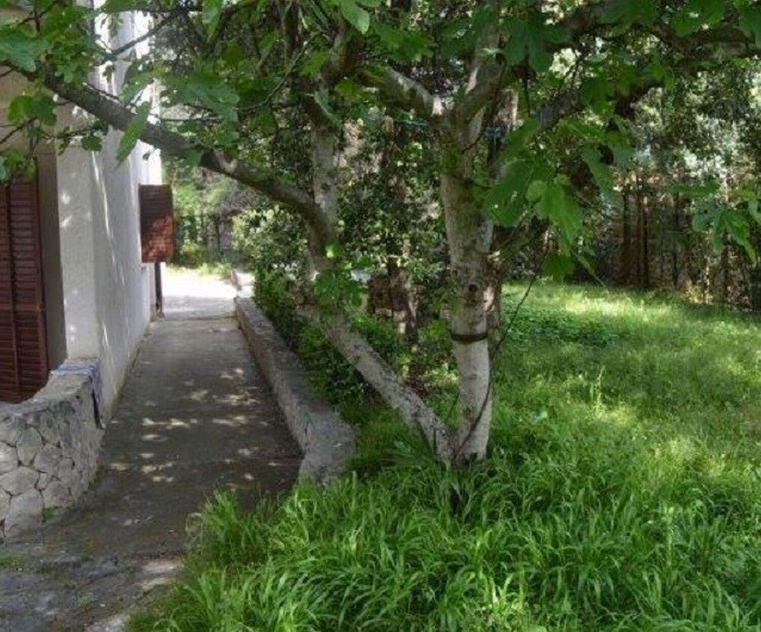 Apartment Maja